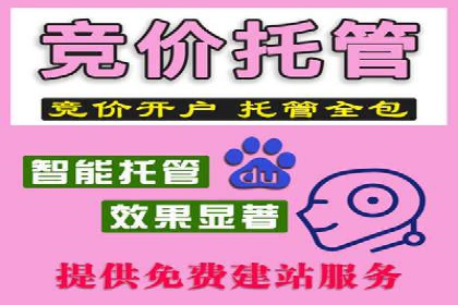 科技公司SEM关键词营销战略及实施效果