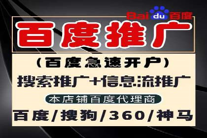 百度竞价托管公司案例分析：打造行业领军企业